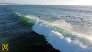 X PRESS VIDEO “Swamis Surf Vibes” Trailer #2